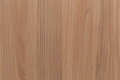 SKIN_ABS-B 1,0 x22 D 5430 DV Caracalla Naturale