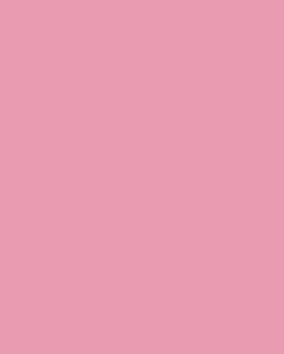 FAL 18 LDTD Y246 FS15 Rose Pink