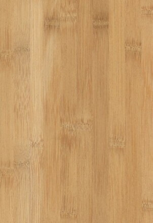 Modifikovaná dyha 4543 Bambus karamel horizontal