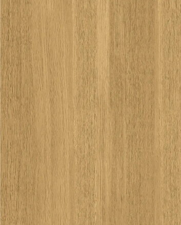 MADERA Natural oak VM501 A/B 19x2800x1220