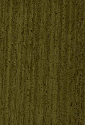 Dyha Wenge
