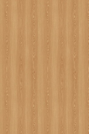 FAL 18 LDTD Y415 FS24 Lanty Oak
