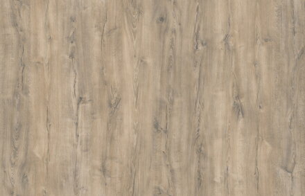 FAL 18 LDTD Y675 FS26 Grey Kent Oak