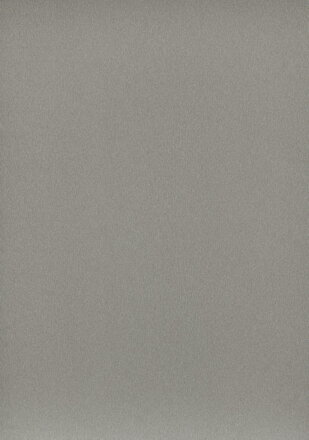 EGG_PD 38X600 F502 ST2 Hliník jemne kartáčovaný