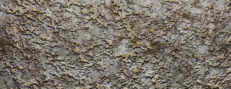 SIBU 24973 SA - SL LAVA VINTAGE Gold 2600x1000x1,9mm SIBU 24973 SA - SL LAVA VINTAGE Gold 2600x1000x1,9mm